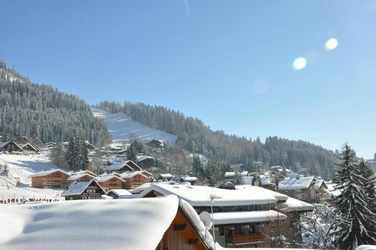 Ag005 - Studio Coin Montagne Proche Pistes Les Carroz d'Arâches